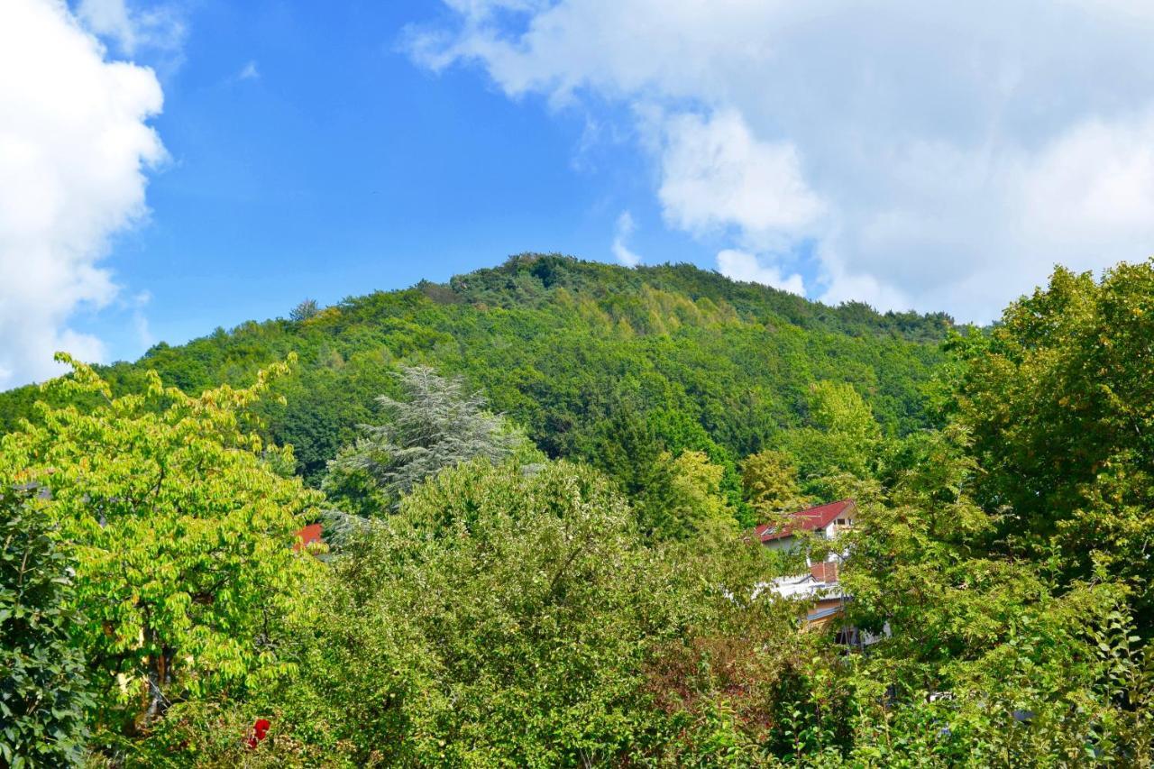 Ferienwohnung Am Geisberg Geisfeld  Esterno foto